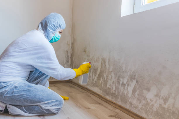 Mold inspector in Lebanon performing thermal imaging